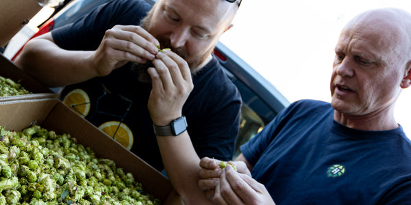 Hop selecteren op de juiste geuren en smaken