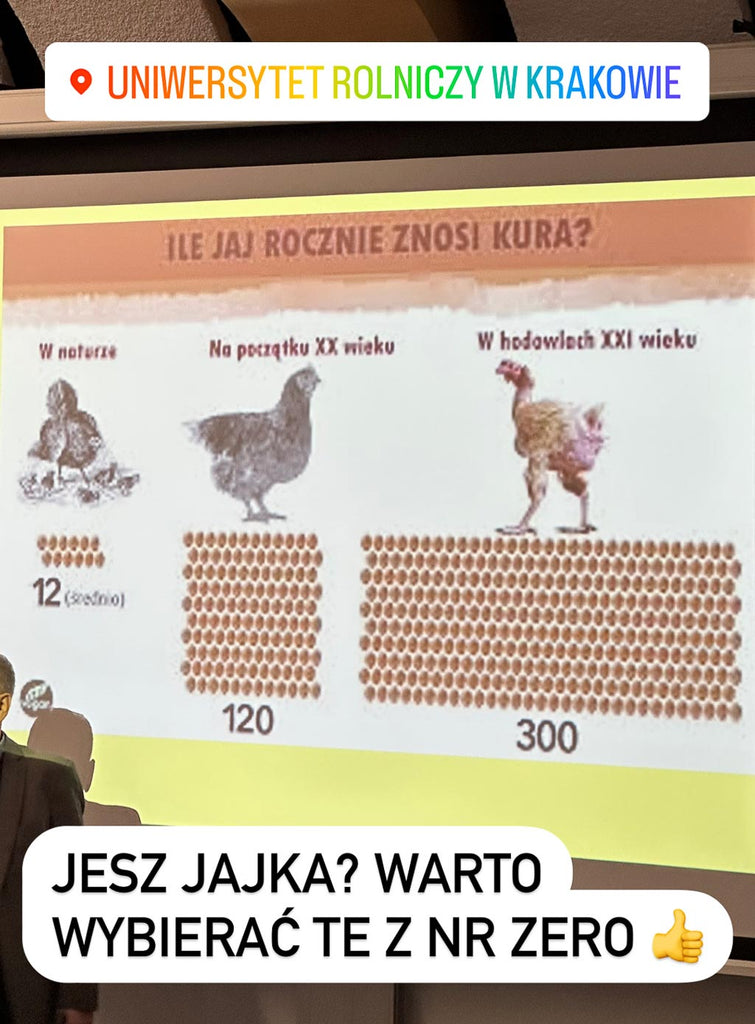 jakie jajka wybierać