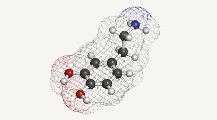 Dopamin molekylstruktur