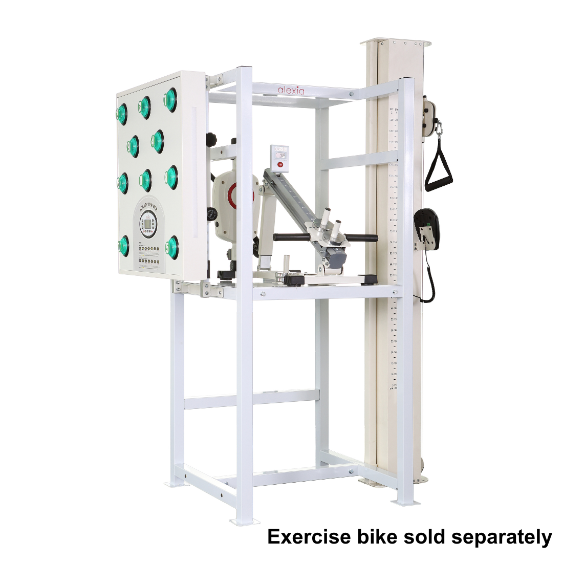 alexia rehab rack mobility sinagpore