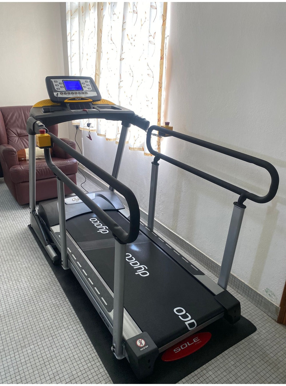 LW280 dyaco treadmill for seniors