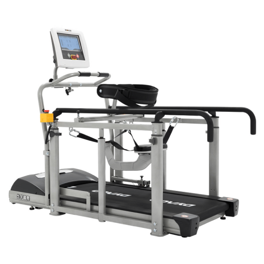 dyaco lw650 elders treadmill