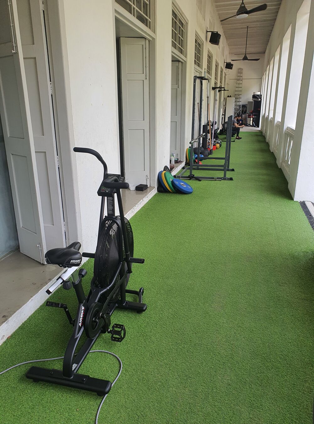 LIVEPRO GYM SLED TURF