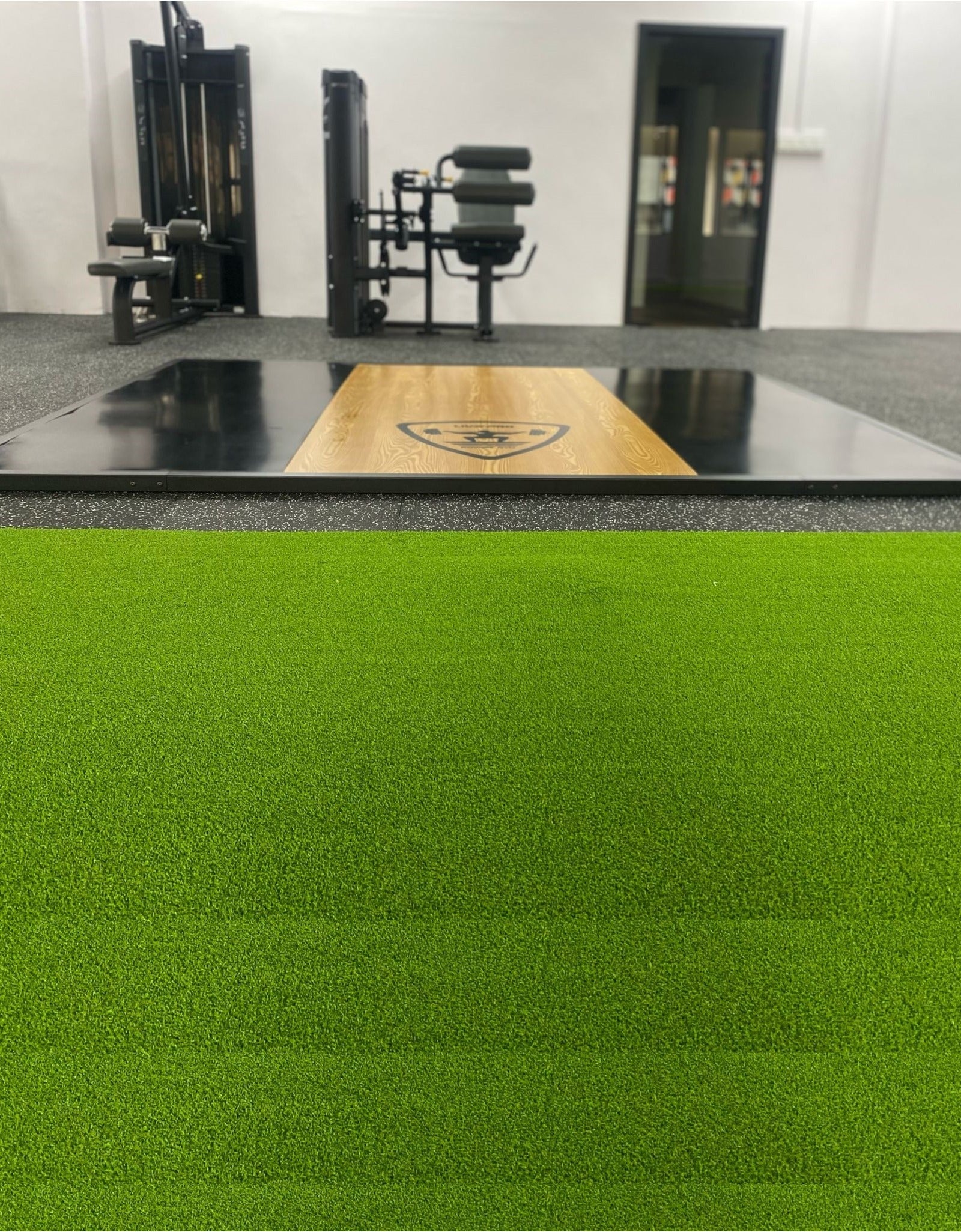 LIVEPRO GYM SLED TURF