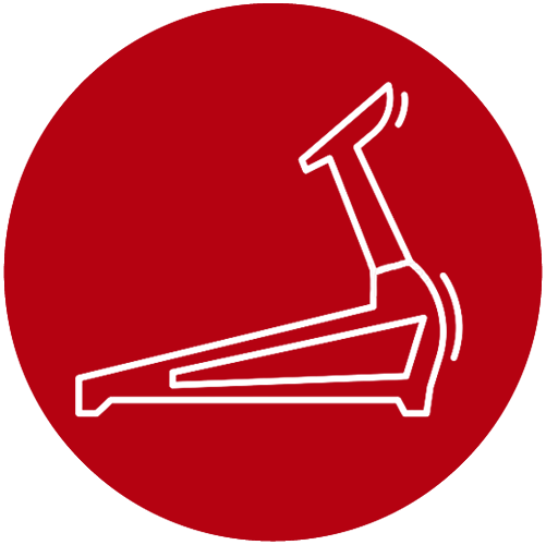 Sole Fitness F63 Folding Treadmill