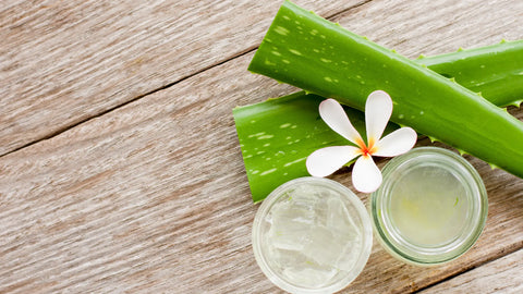 Aloe vera with Buttermilk