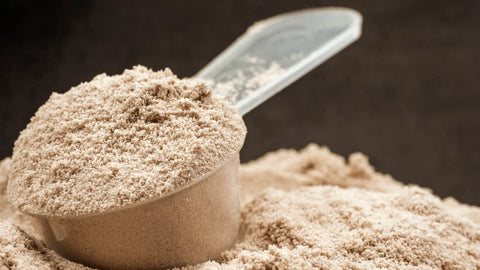 Protein Powder