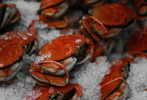 Seafood pescatarian prep