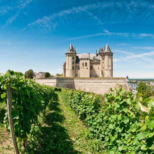 Wines of France Pt. 3: Northern France! | March 7th | 6:30-8:00pm