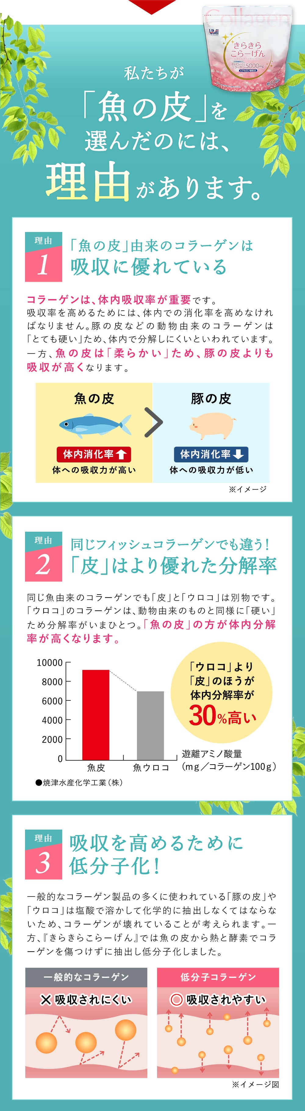 私たちが「魚の皮」を選んだのには、理由があります。