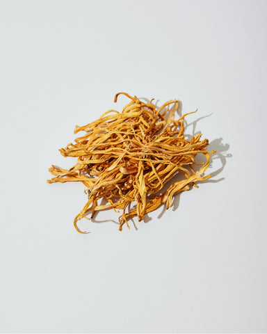 cordyceps mushrooms