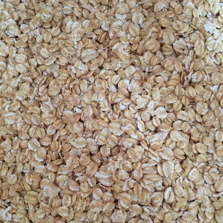 Oats Flaked - Beer Ingredients Grain - Buy Beer Making Supplies Online. –  Altitude Brewing & Supply