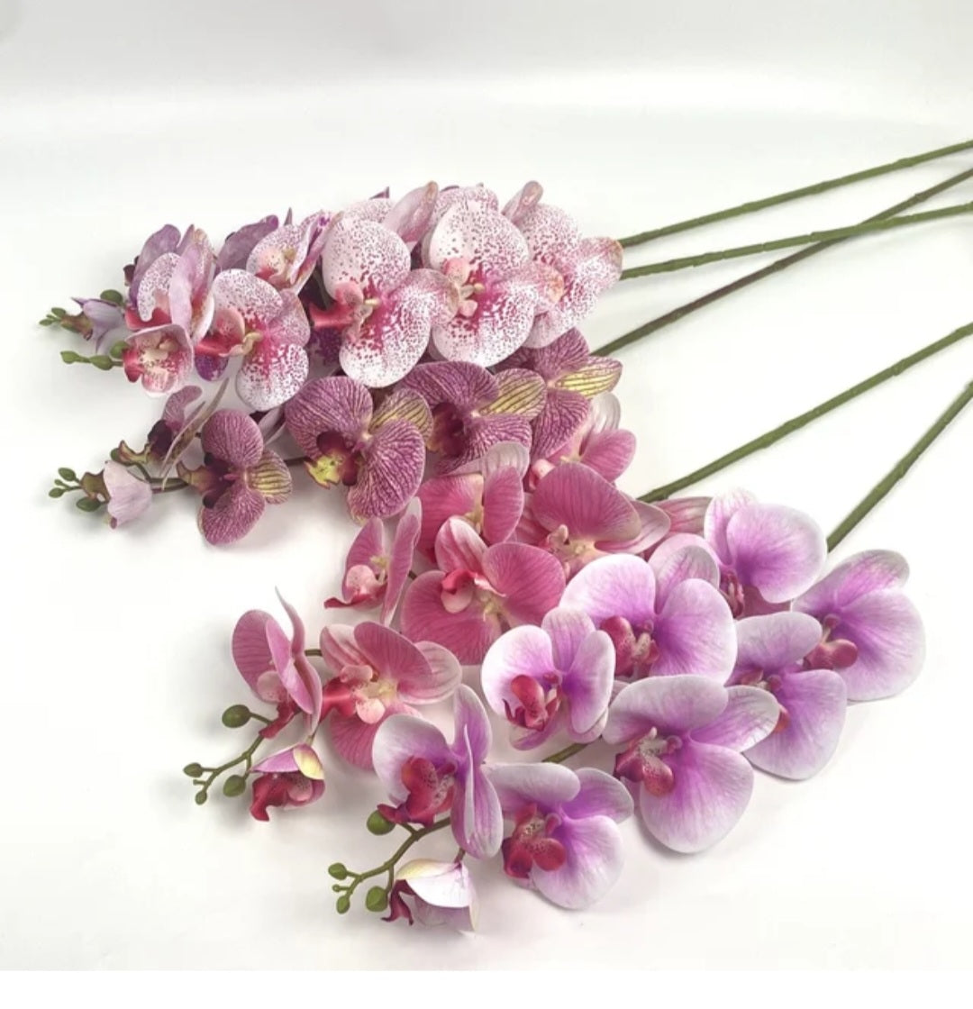 Set 0f 5 Latex Real touch Russian butterfly orchid