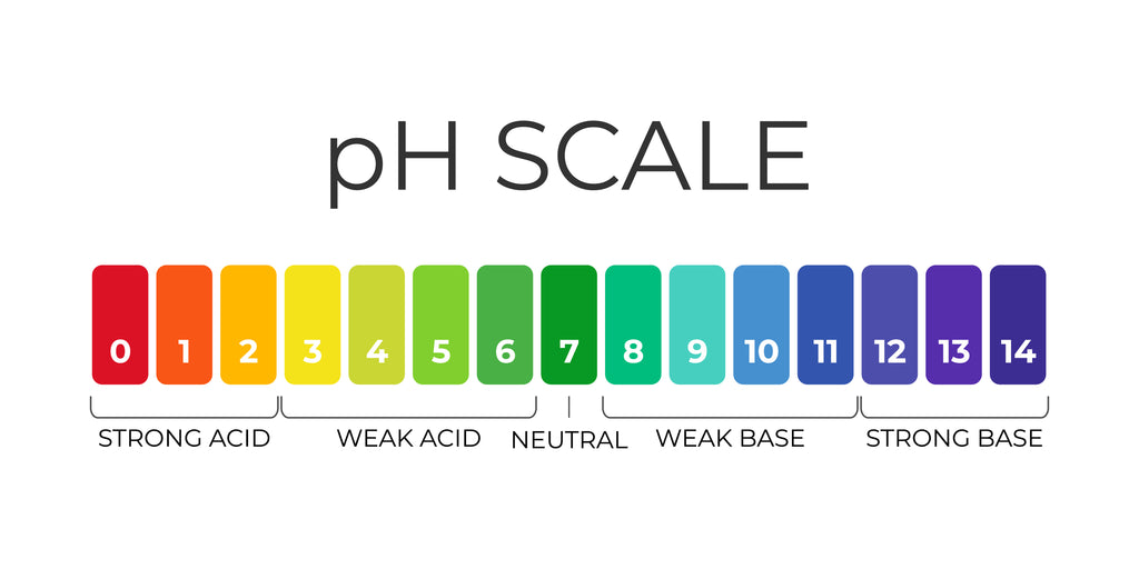 Understanding vaginal pH levels