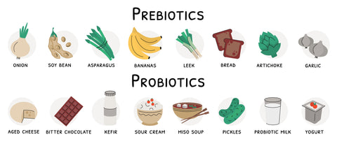 best prebiotic foods