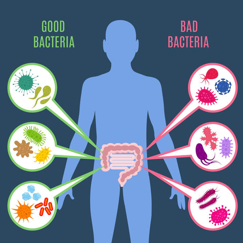 how to choose a probiotic