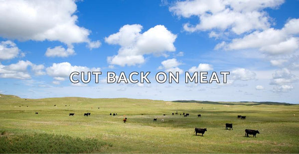 Cut Back on Meat