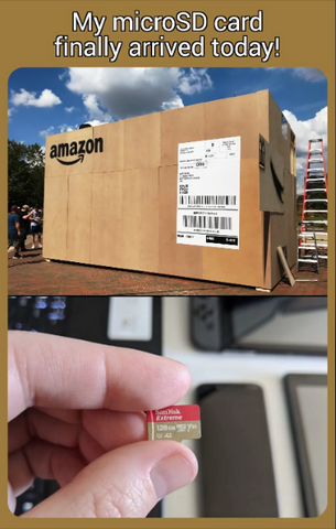 Massive shipping box with text reading "My MicroSD card finally arrived", and an image below with a tiny SD card in someone's hand.