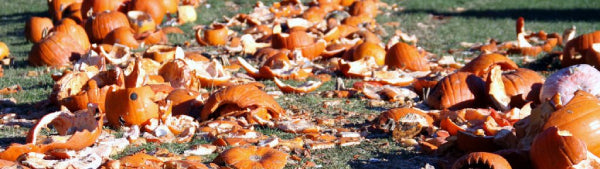 Image of smashed leftover Halloween Pumpkins