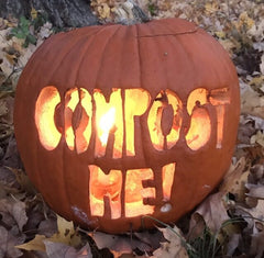 compost your pumpkins