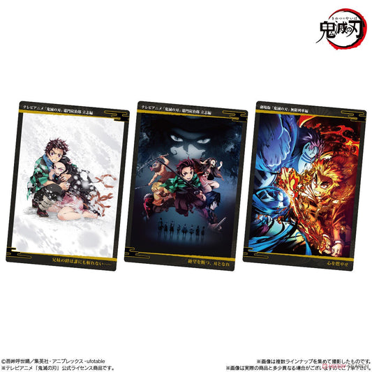 Hotaru Haganezuka HR 3D!! Demon Slayer Kimetsu no Yaiba China Foil Holo TCG  CCG