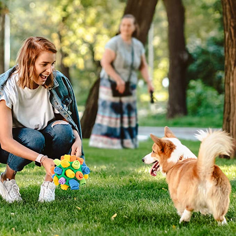 Interactive Dog Toy Sniffing Ball For Hiding Treats Rubber - Temu