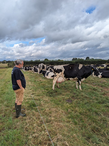 Matt checking out the cows over at Bradfields Farm