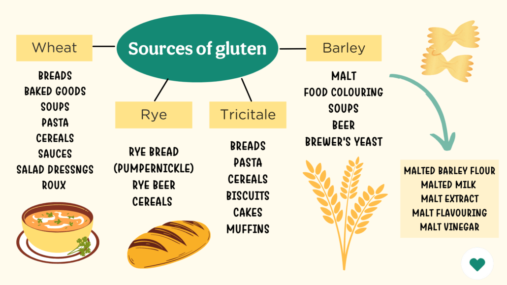 What is gluten and what does it do?