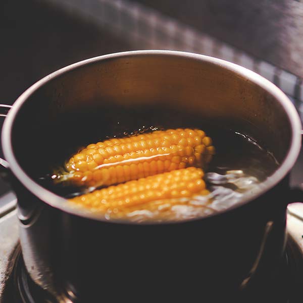 Corn-Cobs-In-Pot-On-Stovetop