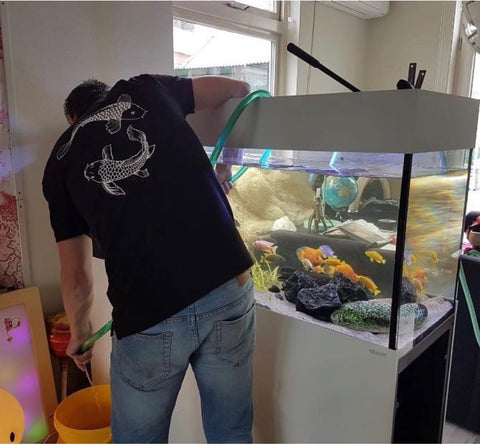 Ook particulier onderhouden wij aquariums