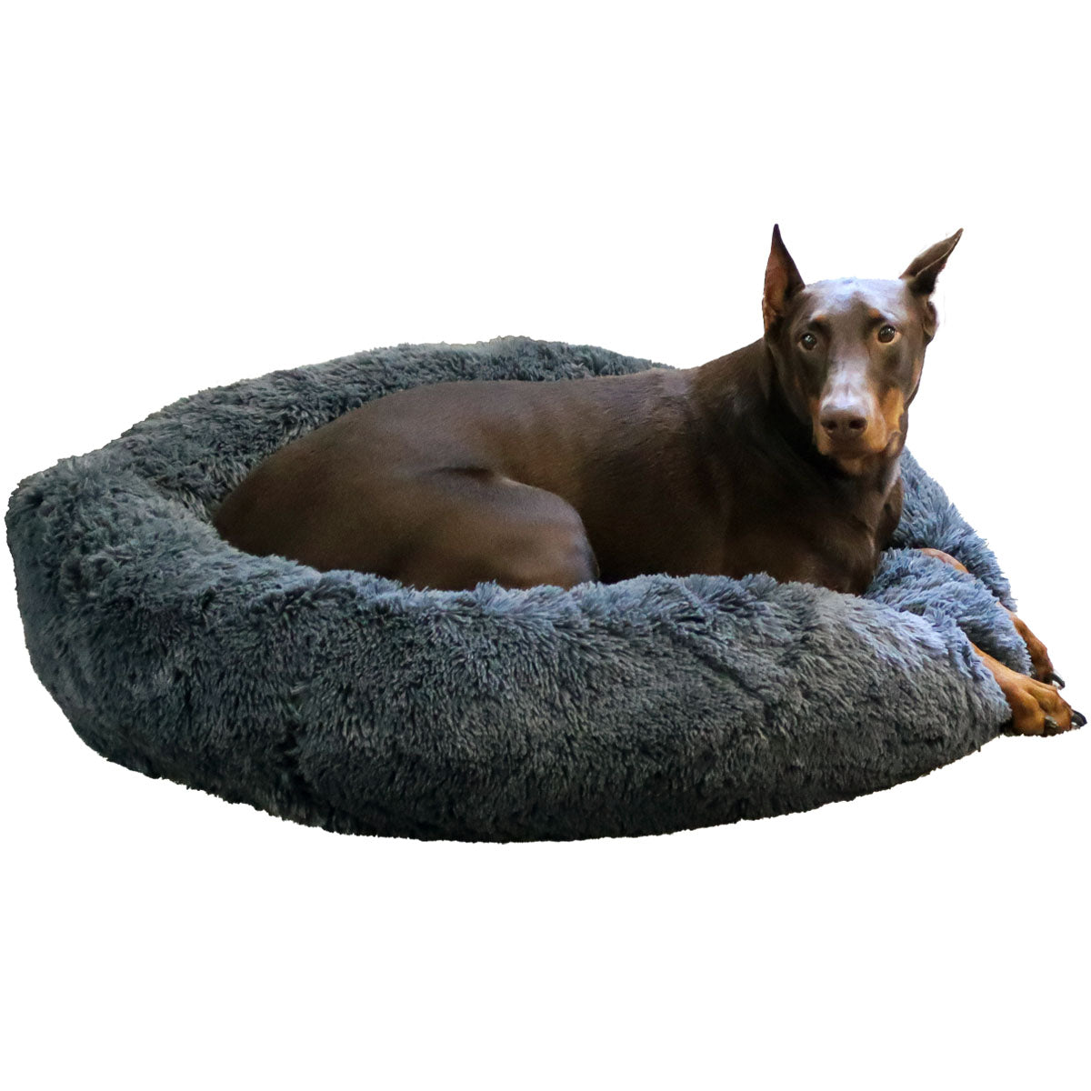 dog beds unchewable