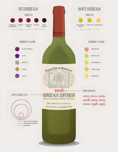 Bordeaux wine infographic