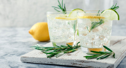 Gin and Tonic cocktail