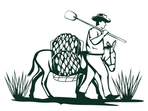 Mescaleros working in the agave field logo