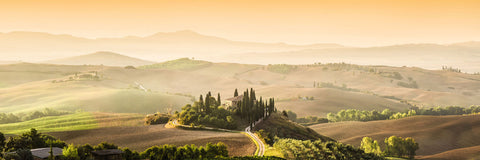 Beautiful Italian vineyard