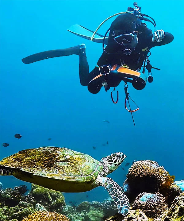 scuba-diver-shoot-photo-for-sea-turtle