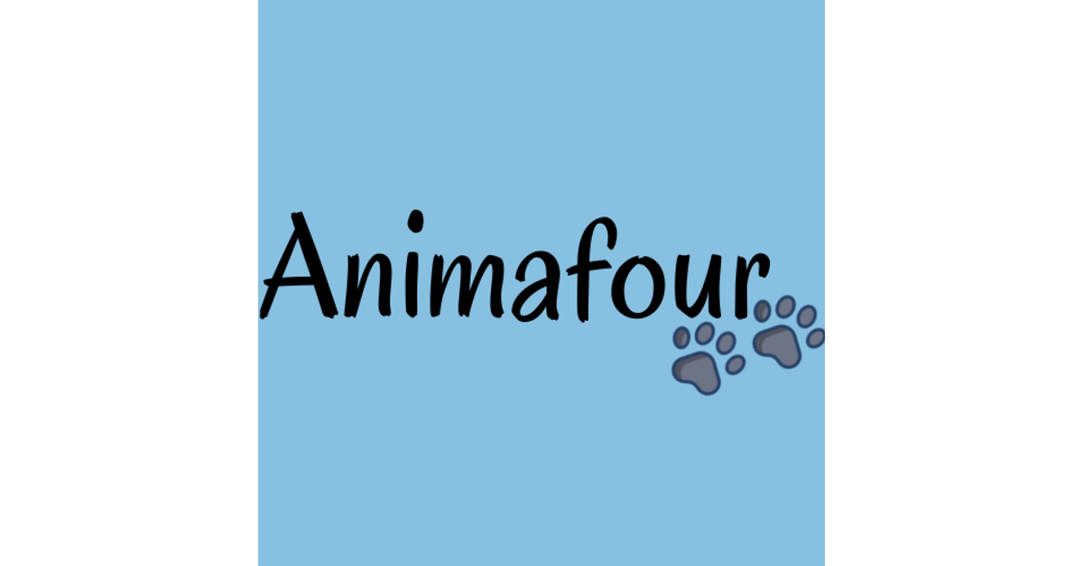 Animafour