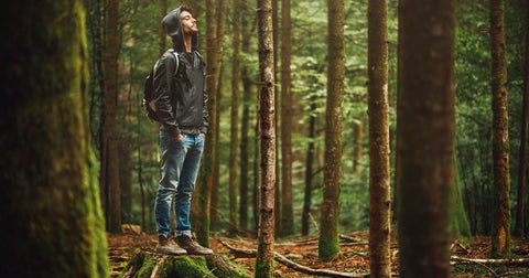 a man standing between bamboo trees