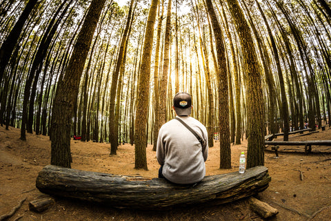 man sitting between bamboo trees