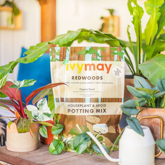5 qt Redwoods Houseplant & Aroid Potting Mix - Peat Free