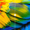 Xiaomi Pantalla 50" LCD 4K Smart Mi P1 - imagen 12