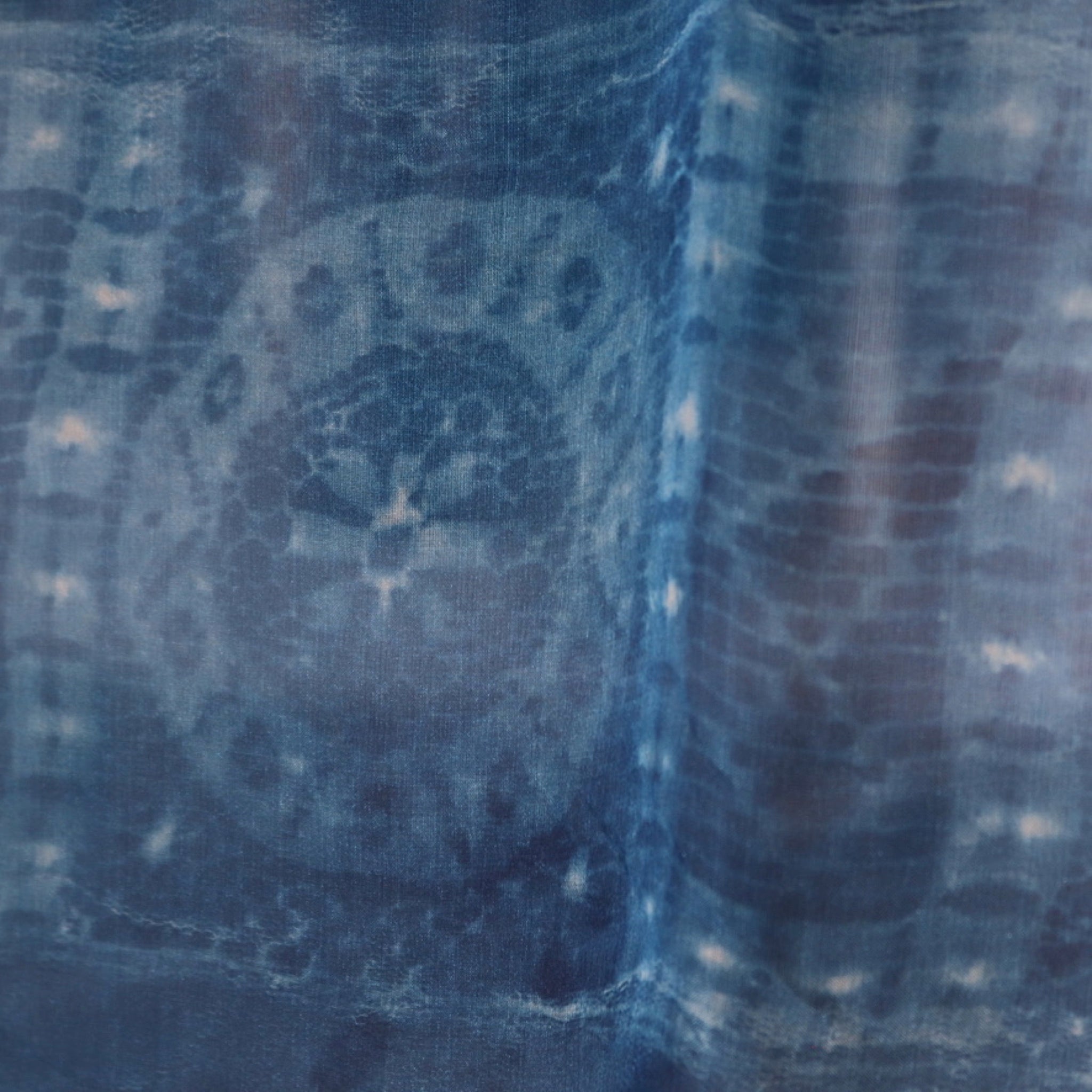 SILVANA MANETTI ANTONIETTA 800 CYANOTYPE - 3