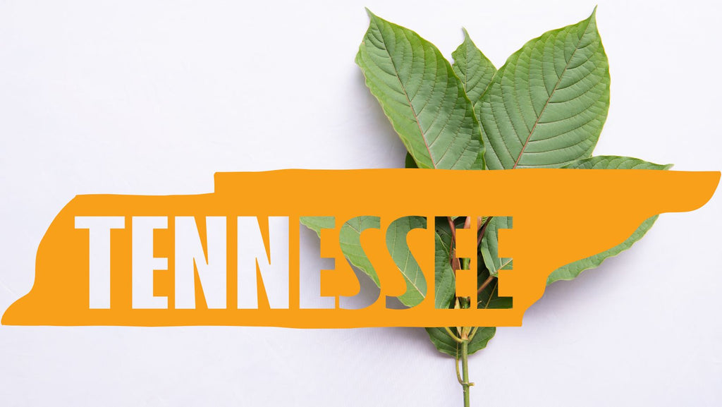 Is Kratom Legal in Tennessee