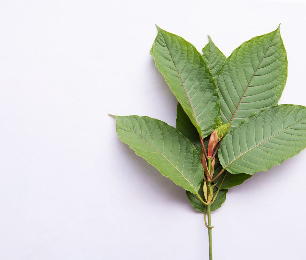 is kratom legal in Indiana