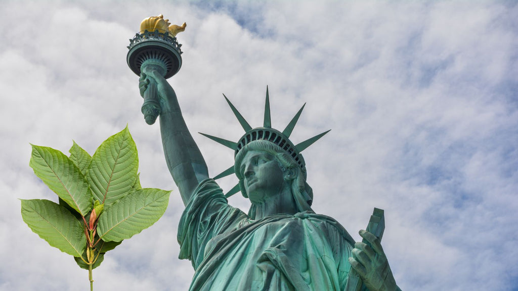 Is Kratom Legal in NY