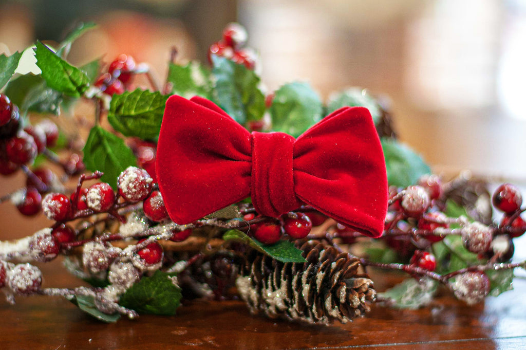 Red Velvet Bow Ties for the holidays