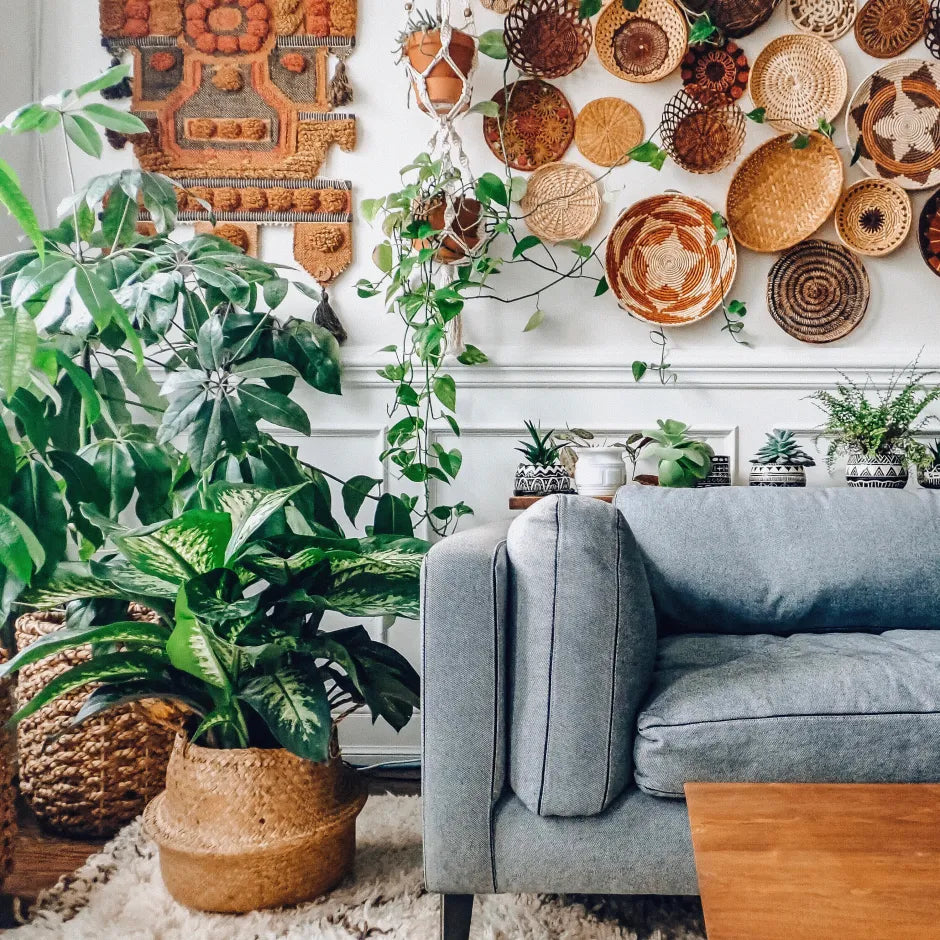 Home Vibes