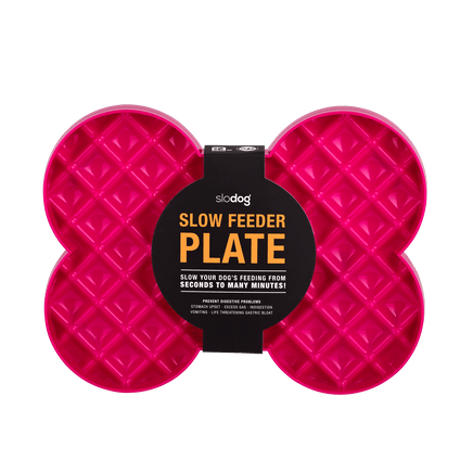 Dog Slow Feeder Plate - allpawspetproducts