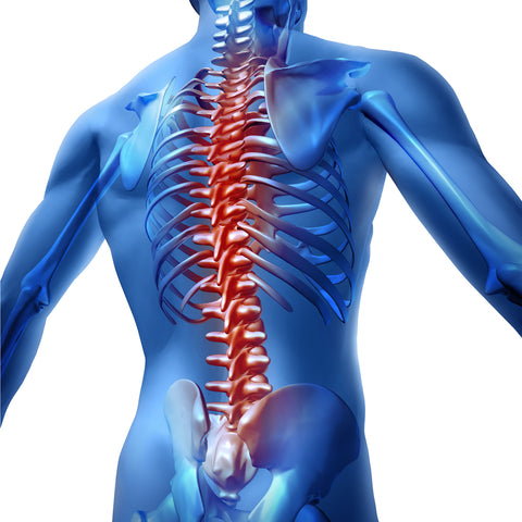 Spinal health symptons and relief