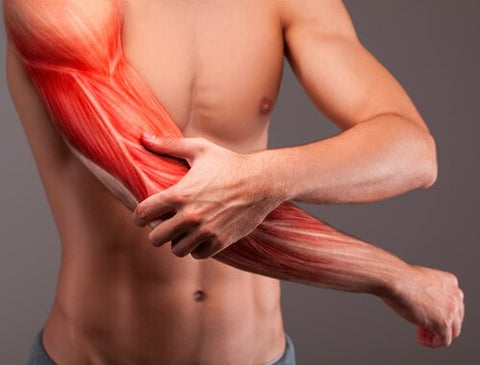 Muscle strain recovery